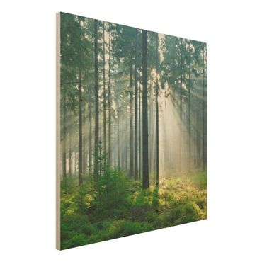 Quadro in legno - Enlightened Forest - Quadrato 1:1