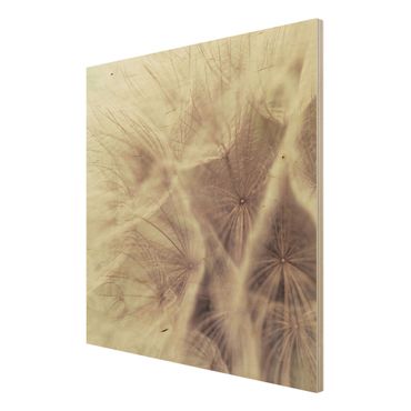 Quadro in legno - Detailed dandelions macro shot with vintage blur effect - Quadrato 1:1