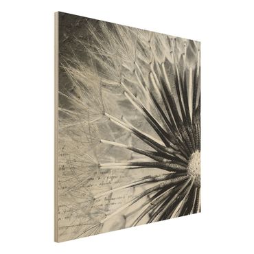 Quadro in legno - Dandelion Black & White - Quadrato 1:1