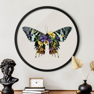 Quadro rotondo incorniciato - Illustrazione floreale farfalla del Madagascar