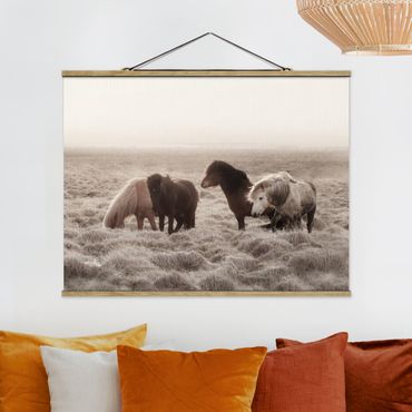 Foto su tessuto da parete con bastone - Cavallo selvaggio d'Islanda - Orizzontale 4:3