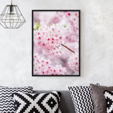 Poster con cornice - Blossoms giapponesi ciliegia