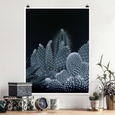 Poster - Famiglia di cactus nella notte