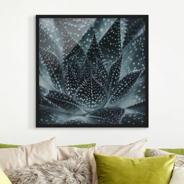 Poster con cornice - Cactus con punti a stella nella notte