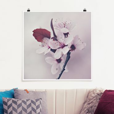 Poster - Ramo di fiori di ciliegio in rosa antico
