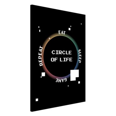 Lavagna magnetica - Videogioco classico Circle of Life - Formato verticale 2:3