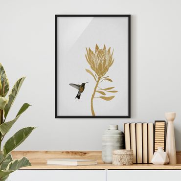Poster con cornice - Colibrì e fiore tropicale dorato