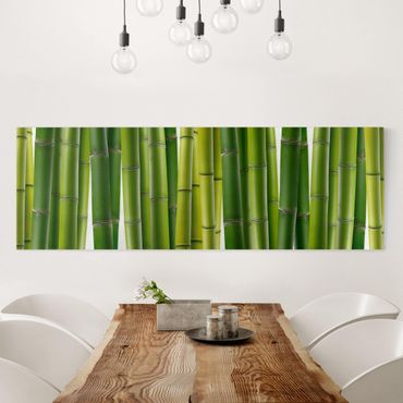 Stampa su tela - Bamboo Plants - Panoramico