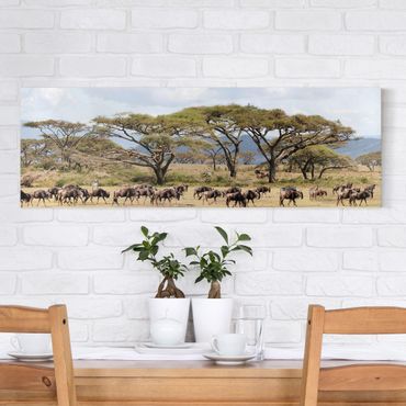 Stampa su tela - Herd Of Wildebeest In The Savannah - Panoramico