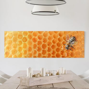 Stampa su tela - Honey Bee - Panoramico