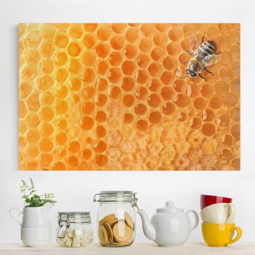 Stampa su tela - Honey Bee - Orizzontale 3:2