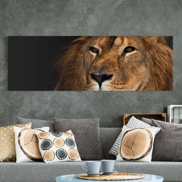 Stampa su tela - Lions Look - Panoramico