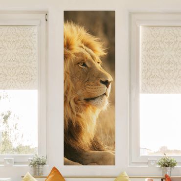 Stampa su tela - Lion King - Pannello