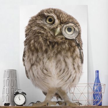 Stampa su tela Curious owl - Verticale 2:3