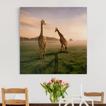 Stampa su tela - Surreal Giraffes - Quadrato 1:1