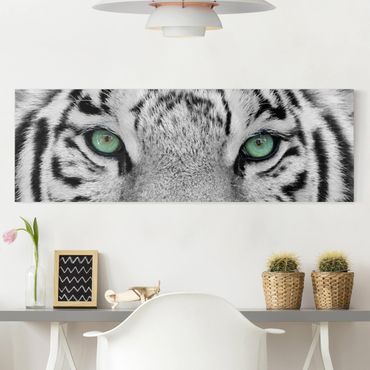 Stampa su tela - White Tiger - Panoramico