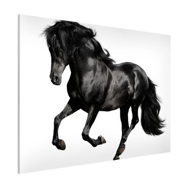 Lavagna magnetica - Arabian Stallion - Formato orizzontale 3:4