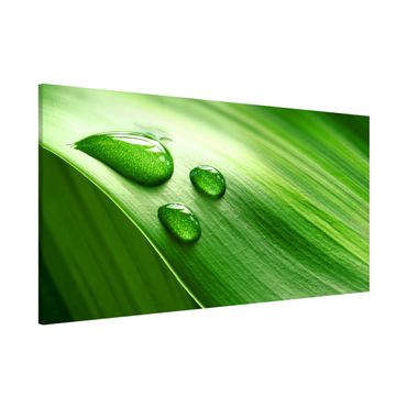 Lavagna magnetica - Banana Leaf With Drops - Panorama formato orizzontale