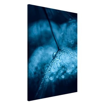Lavagna magnetica - Tarassaco Blu In The Rain - Formato verticale 2:3