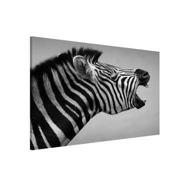 Lavagna magnetica - Rawling Zebra II - Formato orizzontale