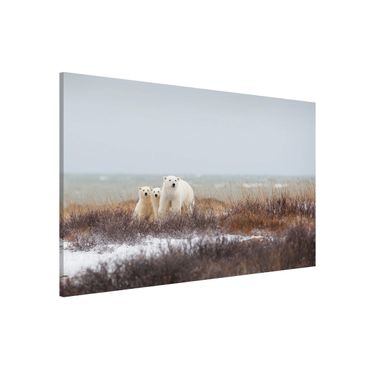 Lavagna magnetica - Orso polare e suoi cuccioli - Formato orizzontale 3:2