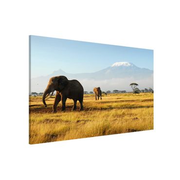 Lavagna magnetica - Elephants In Front Of The Kilimanjaro In Kenya - Panorama formato orizzontale