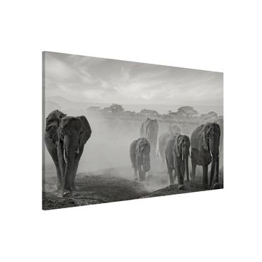 Lavagna magnetica - Elephant Herd - Formato orizzontale 3:2