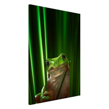 Lavagna magnetica - Happy Frog - Formato verticale 2:3