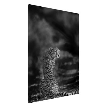 Lavagna magnetica - Cheetah In Wildness - Formato verticale 2:3