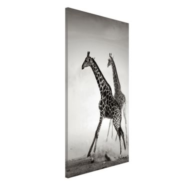 Lavagna magnetica - Giraffe Hunting - Formato verticale 4:3