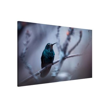 Lavagna magnetica - Hummingbird in Winter - Formato orizzontale 3:2