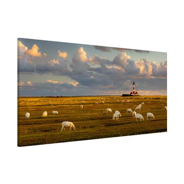 Lavagna magnetica - North Sea Lighthouse With Sheep Herd - Panorama formato orizzontale