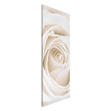 Lavagna magnetica - Rose Picture Pretty White Rose - Panorama formato verticale