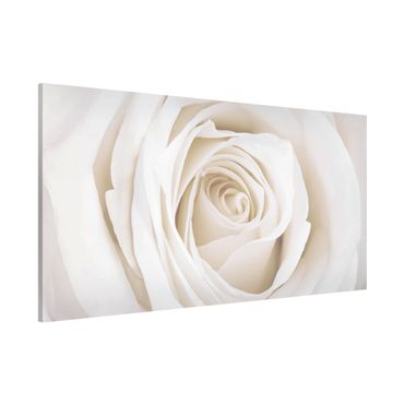 Lavagna magnetica - Rose Picture Pretty White Rose - Panorama formato orizzontale