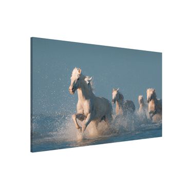 Lavagna magnetica - White Horses - Formato orizzontale 3:2