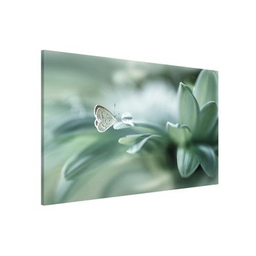Lavagna magnetica - Farfalla E Gocce di rugiada In Pastel Verde - Formato orizzontale 3:2