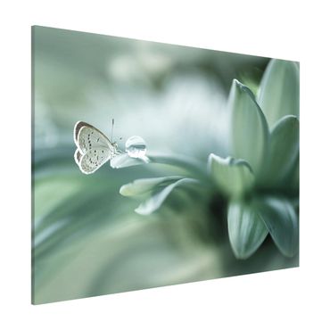 Lavagna magnetica - Farfalla E Gocce di rugiada In Pastel Verde - Formato orizzontale 3:4