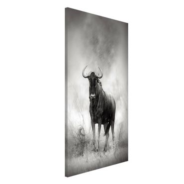 Lavagna magnetica - Staring Wildebeest - Formato verticale 4:3