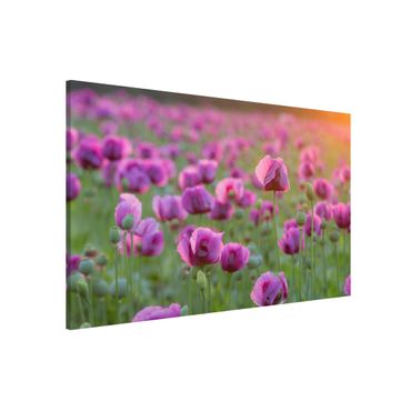Lavagna magnetica - Purple Poppy Flower Meadow In Spring - Formato orizzontale
