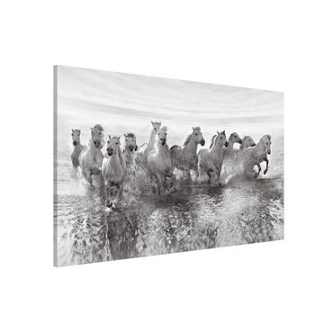 Lavagna magnetica - White Horses in the Sea - Formato orizzontale 3:2