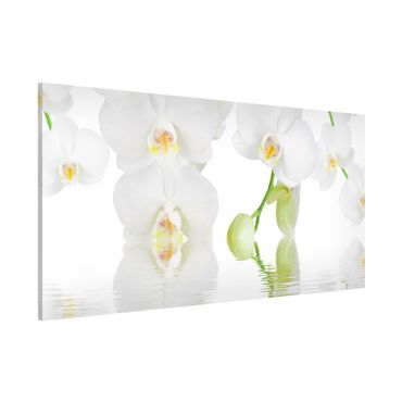 Lavagna magnetica - Orchid Wellness Orchid - Panorama formato orizzontale