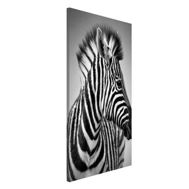 Lavagna magnetica - Zebra Baby Portrait II - Formato verticale 4:3