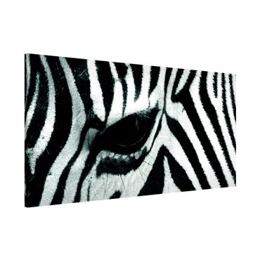 Lavagna magnetica - Zebra Crossing - Panorama formato orizzontale
