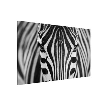 Lavagna magnetica - Zebra Look - Formato orizzontale 3:2