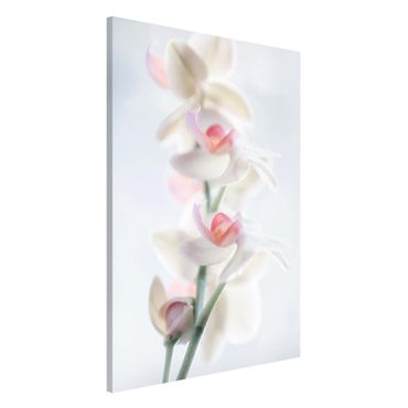 Lavagna magnetica - Fragile Orchid - Formato verticale 2:3