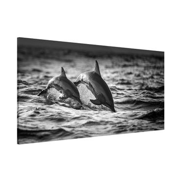 Lavagna magnetica - Due delfini che saltano - Panorama formato orizzontale