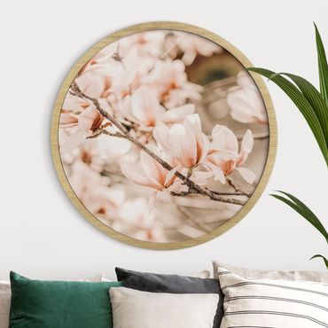 Quadro rotondo incorniciato - Ramo di magnolia in stile vintage