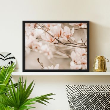 Poster con cornice - Ramo di magnolia in stile vintage