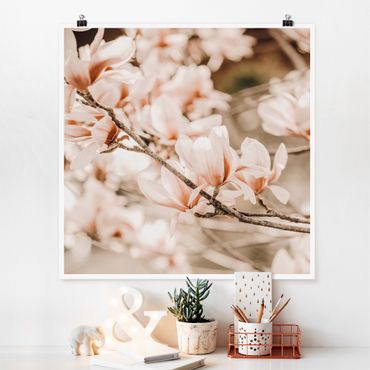 Poster - Ramo di magnolia in stile vintage
