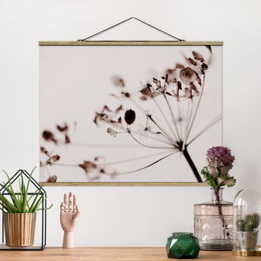 Foto su tessuto da parete con bastone - Macro inquadratura di fiore secco nell'ombra - Orizzontale 4:3